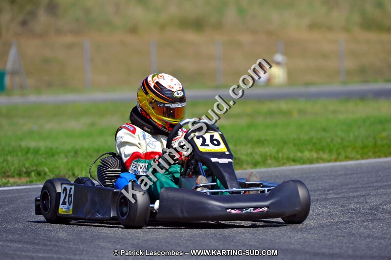 DSC_ (1361).jpg